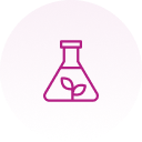 Beaker with a plant inside