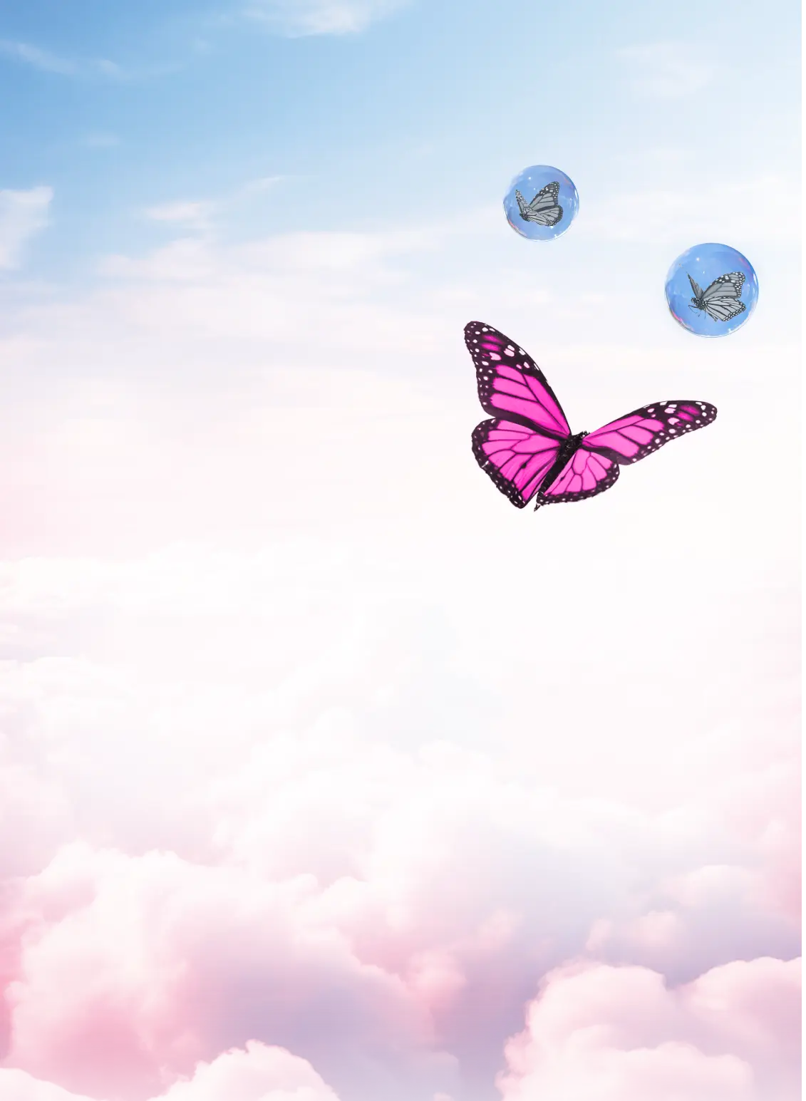 Butterflies flying through the sky
