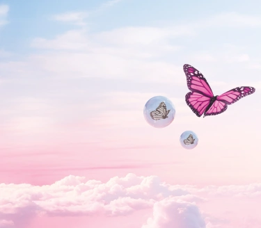 Butterfly flying through the sky