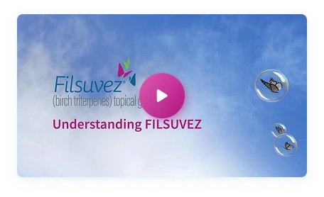 Understanding FILSUVEZ video thumbnail